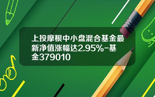 上投摩根中小盘混合基金最新净值涨幅达2.95%-基金379010