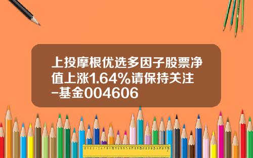 上投摩根优选多因子股票净值上涨1.64%请保持关注-基金004606