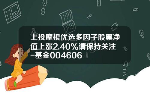 上投摩根优选多因子股票净值上涨2.40%请保持关注-基金004606