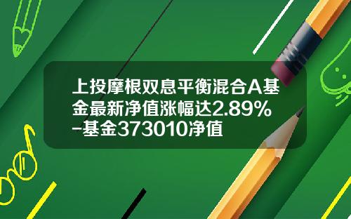 上投摩根双息平衡混合A基金最新净值涨幅达2.89%-基金373010净值