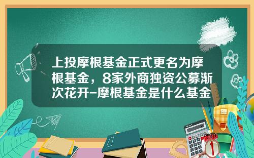 上投摩根基金正式更名为摩根基金，8家外商独资公募渐次花开-摩根基金是什么基金