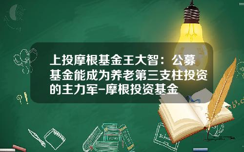 上投摩根基金王大智：公募基金能成为养老第三支柱投资的主力军-摩根投资基金