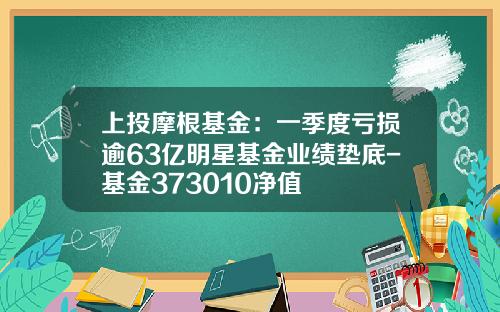 上投摩根基金：一季度亏损逾63亿明星基金业绩垫底-基金373010净值