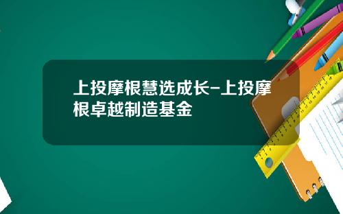 上投摩根慧选成长-上投摩根卓越制造基金