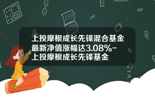 上投摩根成长先锋混合基金最新净值涨幅达3.08%-上投摩根成长先锋基金