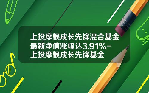上投摩根成长先锋混合基金最新净值涨幅达3.91%-上投摩根成长先锋基金