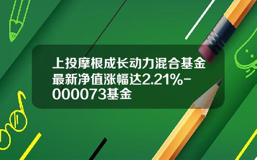 上投摩根成长动力混合基金最新净值涨幅达2.21%-000073基金