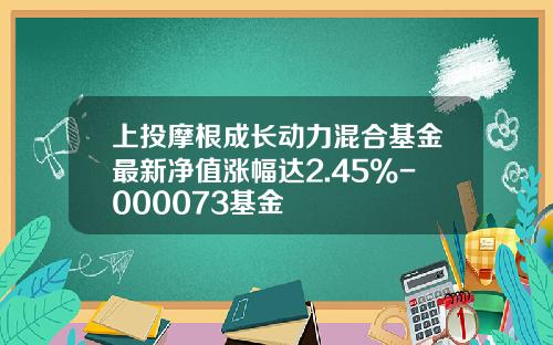 上投摩根成长动力混合基金最新净值涨幅达2.45%-000073基金