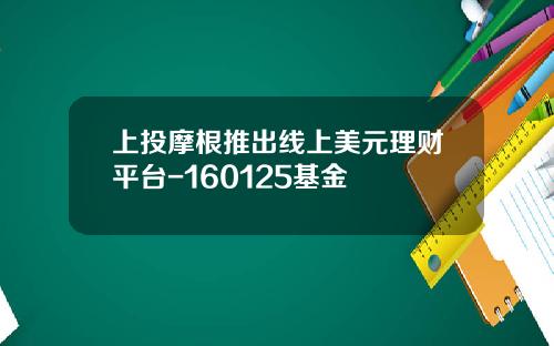 上投摩根推出线上美元理财平台-160125基金