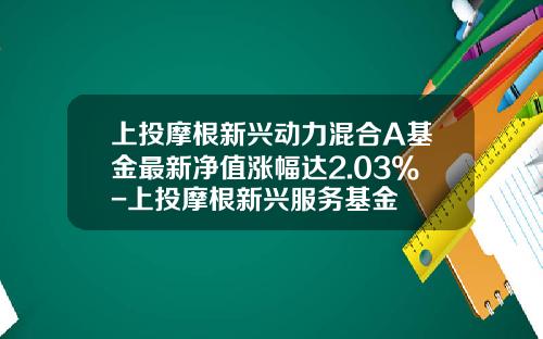 上投摩根新兴动力混合A基金最新净值涨幅达2.03%-上投摩根新兴服务基金