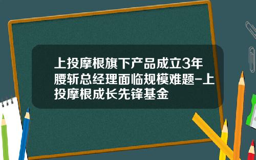 上投摩根旗下产品成立3年腰斩总经理面临规模难题-上投摩根成长先锋基金