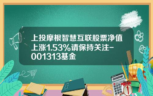 上投摩根智慧互联股票净值上涨1.53%请保持关注-001313基金
