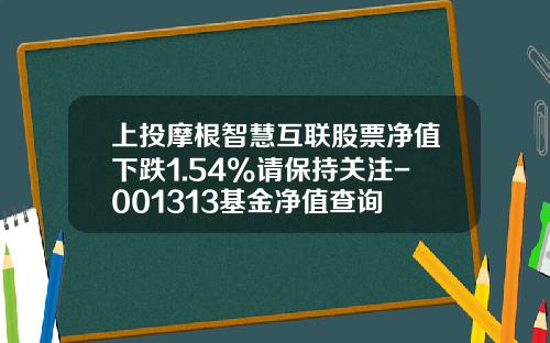 上投摩根智慧互联股票净值下跌1.54%请保持关注-001313基金净值查询