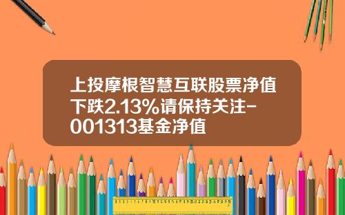 上投摩根智慧互联股票净值下跌2.13%请保持关注-001313基金净值