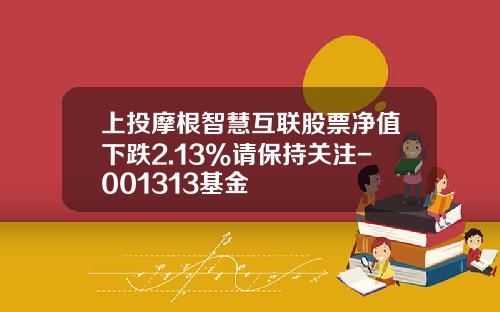 上投摩根智慧互联股票净值下跌2.13%请保持关注-001313基金