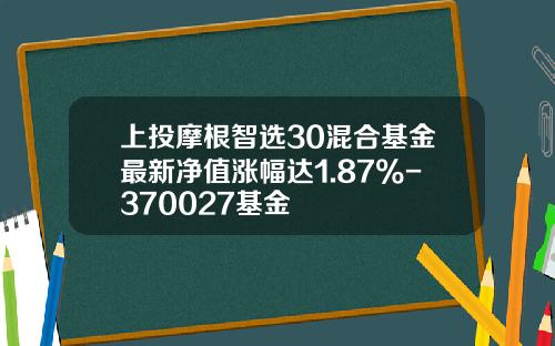 上投摩根智选30混合基金最新净值涨幅达1.87%-370027基金