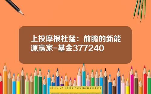 上投摩根杜猛：前瞻的新能源赢家-基金377240