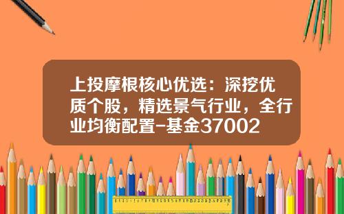 上投摩根核心优选：深挖优质个股，精选景气行业，全行业均衡配置-基金370024