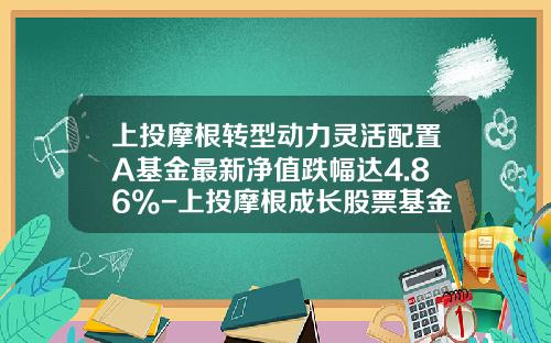 上投摩根转型动力灵活配置A基金最新净值跌幅达4.86%-上投摩根成长股票基金