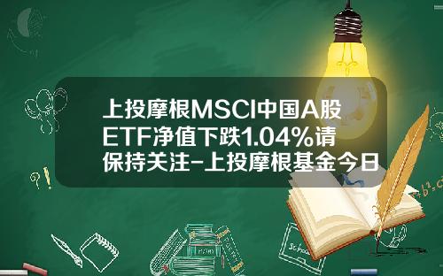 上投摩根MSCI中国A股ETF净值下跌1.04%请保持关注-上投摩根基金今日净值