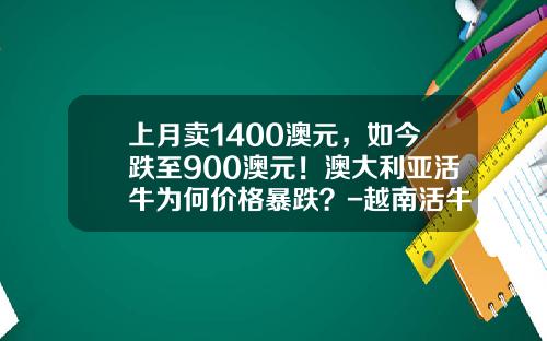 上月卖1400澳元，如今跌至900澳元！澳大利亚活牛为何价格暴跌？-越南活牛多少钱斤