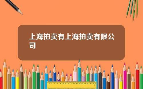 上海拍卖有上海拍卖有限公司
