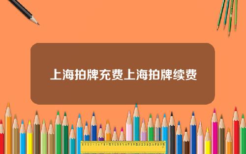 上海拍牌充费上海拍牌续费