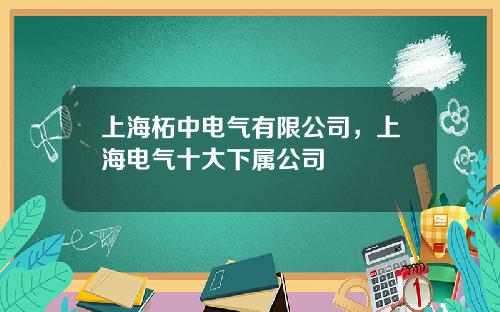 上海柘中电气有限公司，上海电气十大下属公司