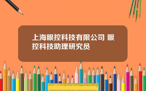 上海眼控科技有限公司 眼控科技助理研究员