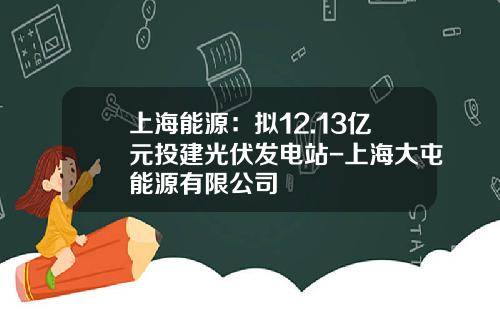 上海能源：拟12.13亿元投建光伏发电站-上海大屯能源有限公司