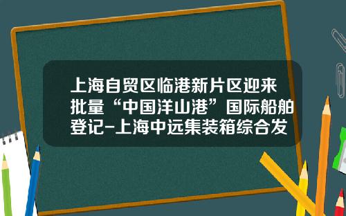 上海自贸区临港新片区迎来批量“中国洋山港”国际船舶登记-上海中远集装箱综合发展有限公司