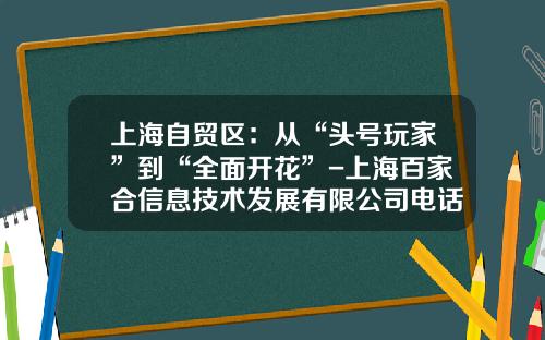 上海自贸区：从“头号玩家”到“全面开花”-上海百家合信息技术发展有限公司电话