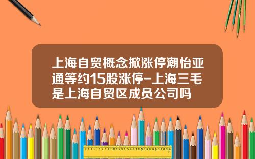 上海自贸概念掀涨停潮怡亚通等约15股涨停-上海三毛是上海自贸区成员公司吗