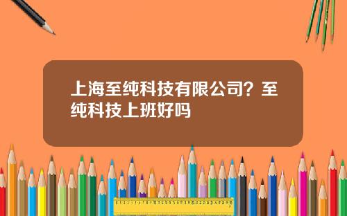 上海至纯科技有限公司？至纯科技上班好吗