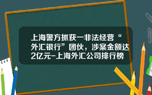 上海警方抓获一非法经营“外汇银行”团伙，涉案金额达2亿元-上海外汇公司排行榜