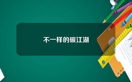 不一样的碳江湖