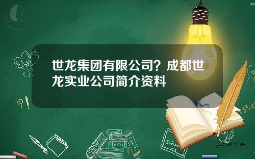 世龙集团有限公司？成都世龙实业公司简介资料