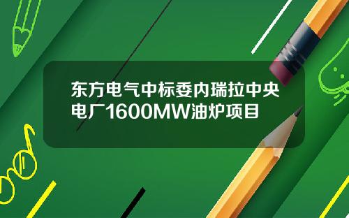 东方电气中标委内瑞拉中央电厂1600MW油炉项目