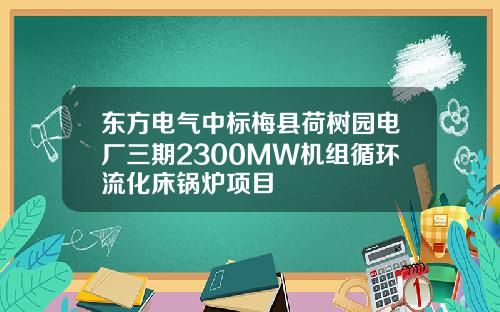东方电气中标梅县荷树园电厂三期2300MW机组循环流化床锅炉项目