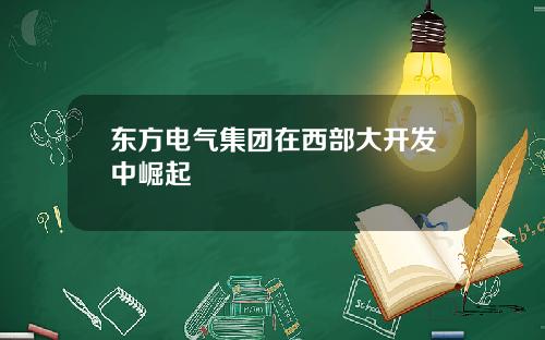 东方电气集团在西部大开发中崛起