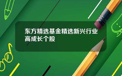 东方精选基金精选新兴行业高成长个股