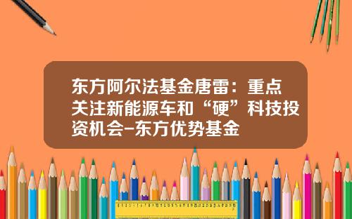 东方阿尔法基金唐雷：重点关注新能源车和“硬”科技投资机会-东方优势基金