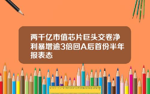 两千亿市值芯片巨头交卷净利暴增逾3倍回A后首份半年报表态