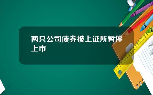 两只公司债券被上证所暂停上市