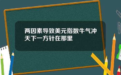 两因素导致美元指数牛气冲天下一方针在那里
