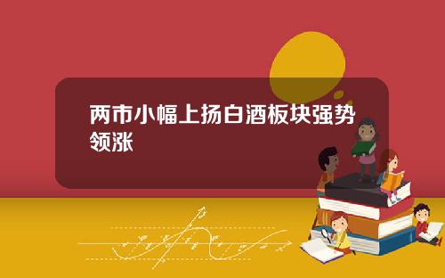 两市小幅上扬白酒板块强势领涨