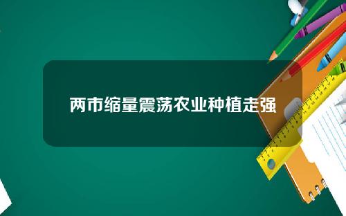 两市缩量震荡农业种植走强