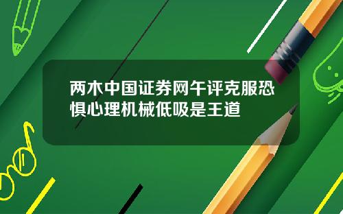 两木中国证券网午评克服恐惧心理机械低吸是王道