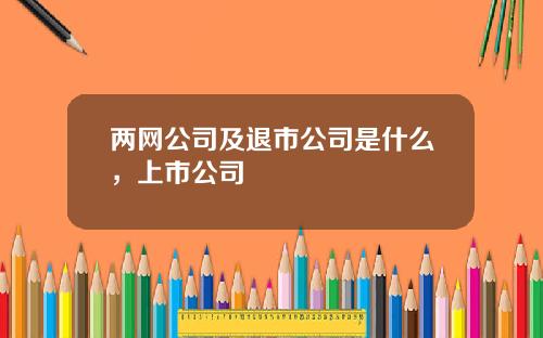 两网公司及退市公司是什么，上市公司