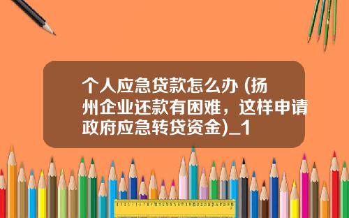 个人应急贷款怎么办 (扬州企业还款有困难，这样申请政府应急转贷资金)_1